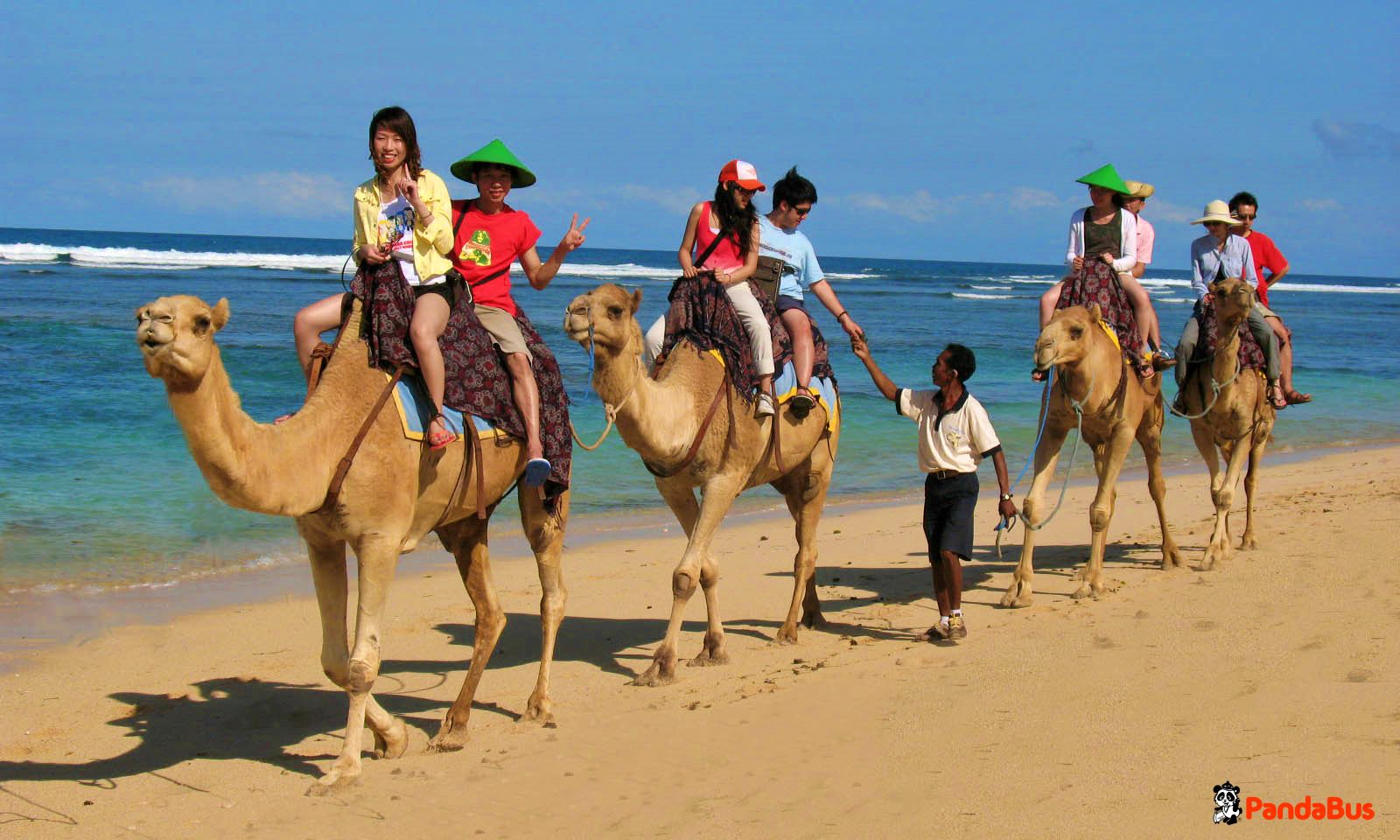 プライベートビーチでキャメルサファリ体験